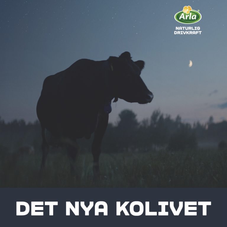 Det nya kolivet