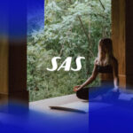 SAS – Journeys That Matter