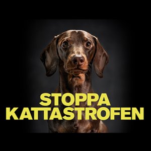 Stoppa Kattastrofen