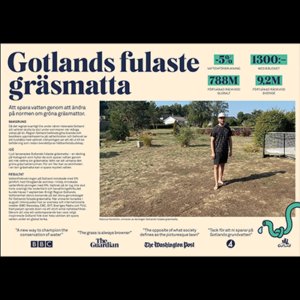 Gotlands fulaste gräsmatta