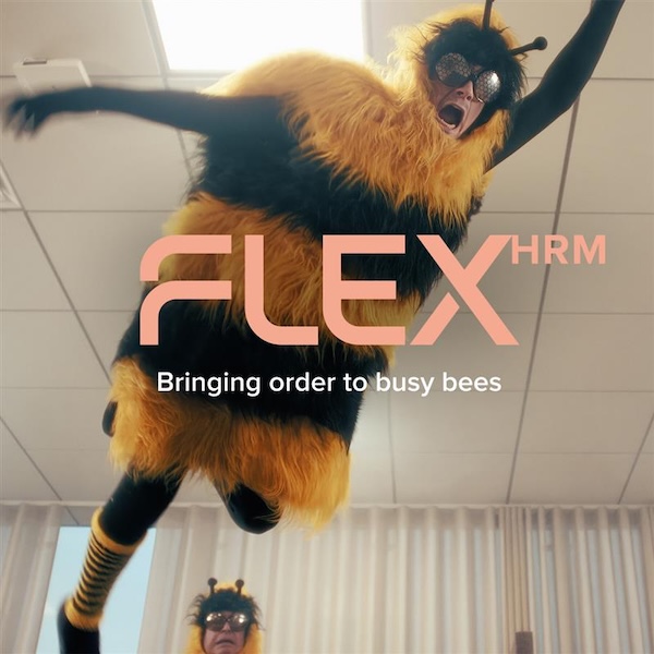 Bringing order to busy bees