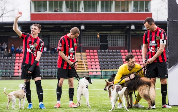 Avspark för Hundstallet
