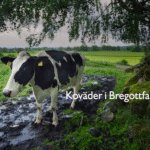 Inflation i Bregottfabriken