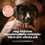 Värd att vänta på